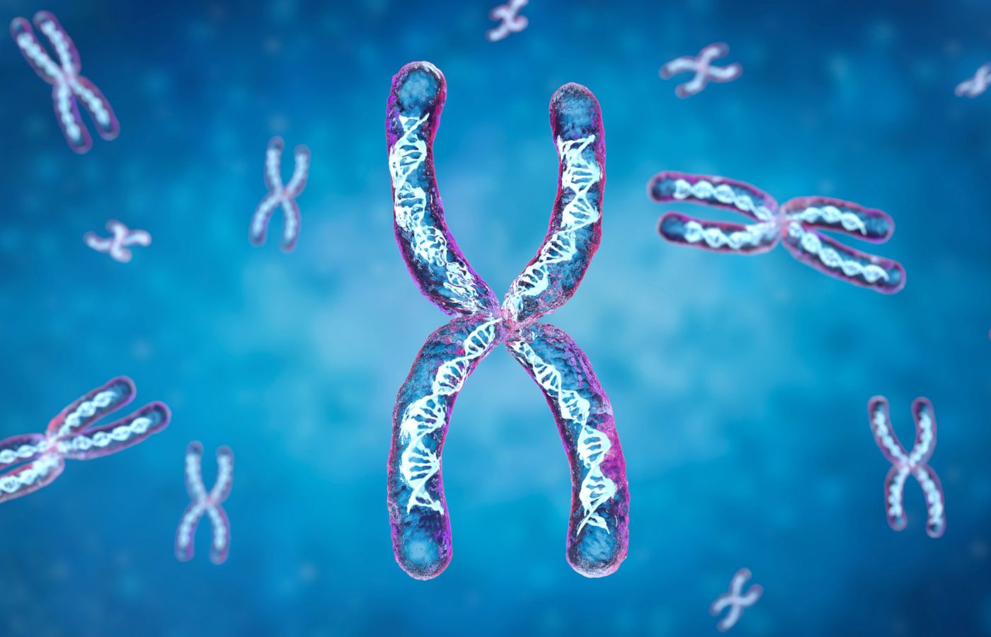 Новый физический закон объяснил хаотичное движение хромосом - Наука РФ