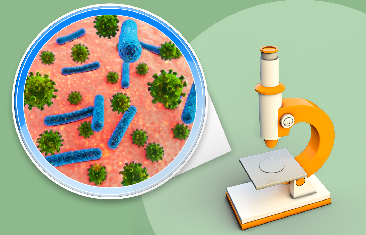 Невидимый мир, путешествие с микроскопом